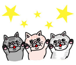 Exotic Shorthair of a pretty cat. sticker #10144494