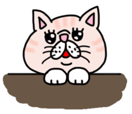 Exotic Shorthair of a pretty cat. sticker #10144499