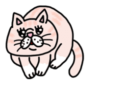 Exotic Shorthair of a pretty cat. sticker #10144500