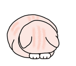 Exotic Shorthair of a pretty cat. sticker #10144503