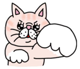 Exotic Shorthair of a pretty cat. sticker #10144511