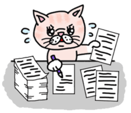 Exotic Shorthair of a pretty cat. sticker #10144516