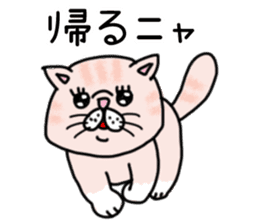 Exotic Shorthair of a pretty cat. sticker #10144522