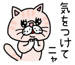 Exotic Shorthair of a pretty cat. sticker #10144523