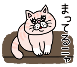 Exotic Shorthair of a pretty cat. sticker #10144527