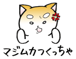 Hakata's Dogs 2nd season -Go to Chikuho- sticker #10144963