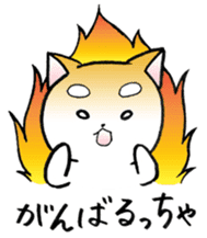 Hakata's Dogs 2nd season -Go to Chikuho- sticker #10144966