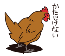 three chickens sticker #10147380