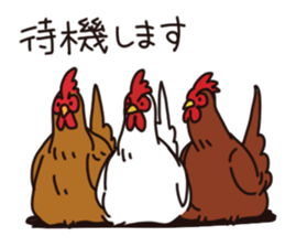 three chickens sticker #10147388
