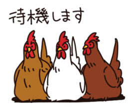 three chickens sticker #10147388