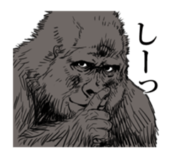 just gorilla sticker #10152451