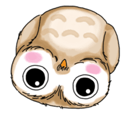 A little cute OWL 2 sticker #10153290