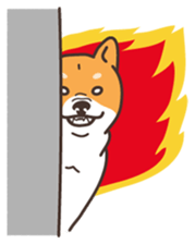 Japanese Shiba Inu hanako3 sticker #10153698