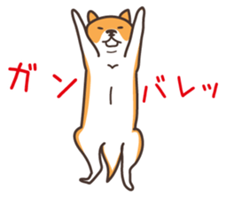 Japanese Shiba Inu hanako3 sticker #10153702