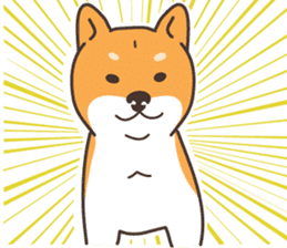Japanese Shiba Inu hanako3 sticker #10153714