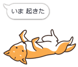 Japanese Shiba Inu hanako3 sticker #10153722