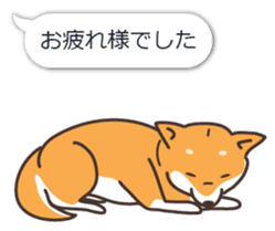 Japanese Shiba Inu hanako3 sticker #10153723