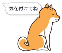 Japanese Shiba Inu hanako3 sticker #10153724