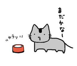 Nori cat sticker #10156472