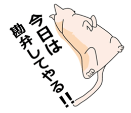 Invective dog and cat duo sticker #10156546