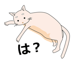 Invective dog and cat duo sticker #10156554