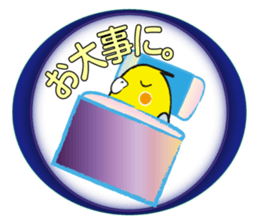 COCKATIEL TALK sticker #10162777