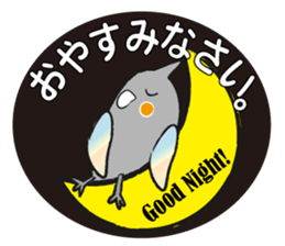 COCKATIEL TALK sticker #10162778
