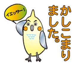 COCKATIEL TALK sticker #10162782