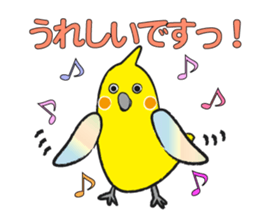 COCKATIEL TALK sticker #10162789