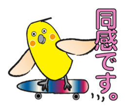 COCKATIEL TALK sticker #10162792