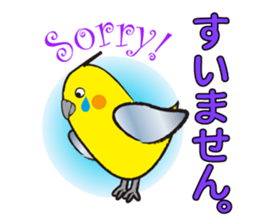 COCKATIEL TALK sticker #10162793