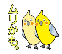 COCKATIEL TALK sticker #10162794