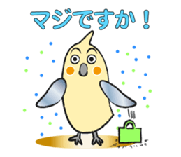 COCKATIEL TALK sticker #10162795