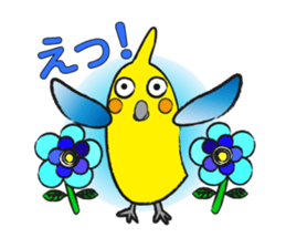 COCKATIEL TALK sticker #10162796