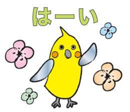 COCKATIEL TALK sticker #10162801