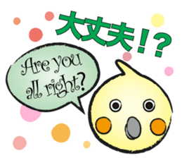 COCKATIEL TALK sticker #10162804