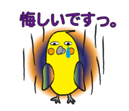 COCKATIEL TALK sticker #10162805