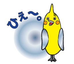 COCKATIEL TALK sticker #10162806