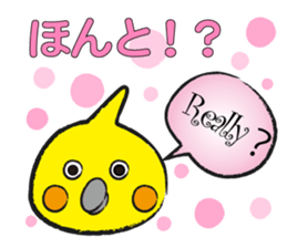COCKATIEL TALK sticker #10162809
