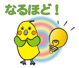 COCKATIEL TALK sticker #10162810