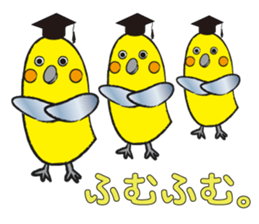 COCKATIEL TALK sticker #10162811