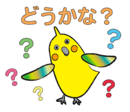 COCKATIEL TALK sticker #10162813