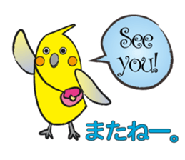 COCKATIEL TALK sticker #10162814