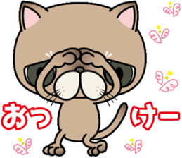 Clumsy In cute cat  Part1 sticker #10164229