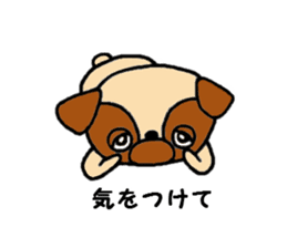 Pug Pug Dog sticker #10165361