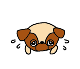 Pug Pug Dog sticker #10165362