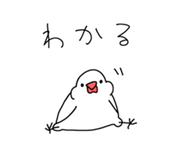 open leg Java sparrow sticker #10165580