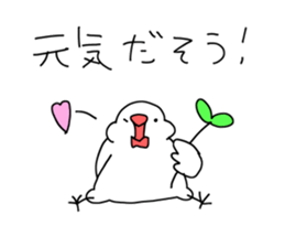 open leg Java sparrow sticker #10165588