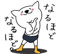 Cat not snapped. sticker #10166820