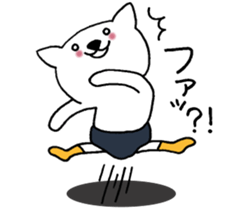 Cat not snapped. sticker #10166826